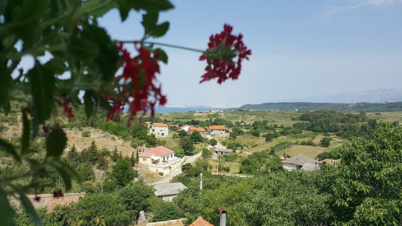 Ražanac Apartment Cernesa מראה חיצוני תמונה