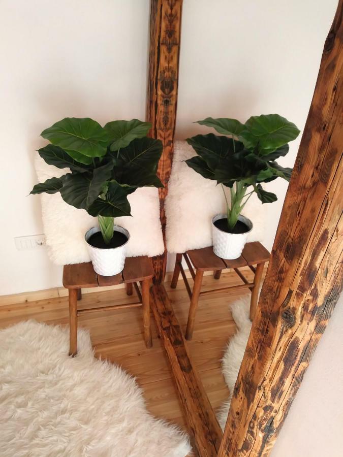 Ražanac Apartment Cernesa מראה חיצוני תמונה